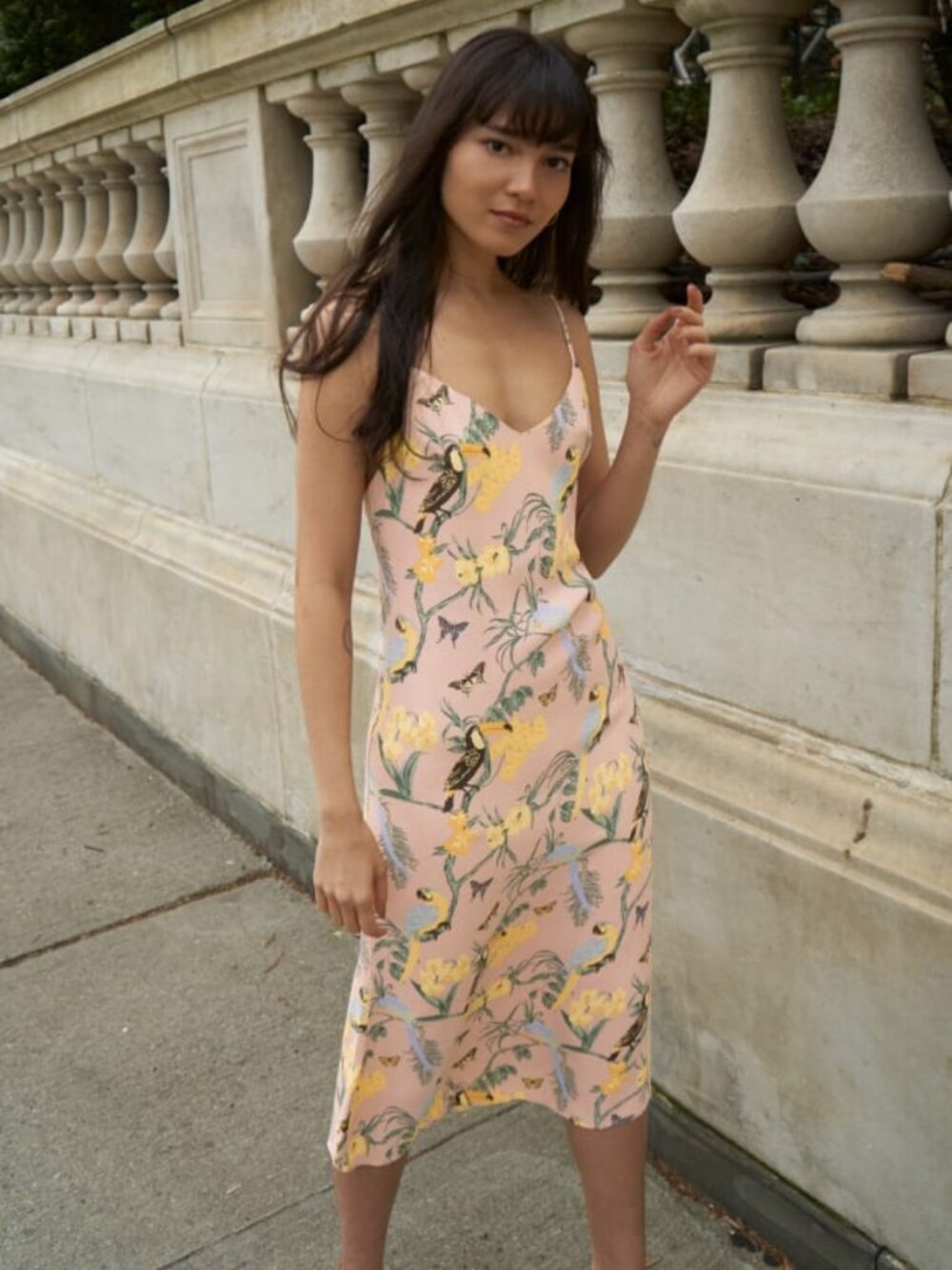 Reformation Chianti Dress Tropical Conga Print V Neck Slip Midi S
